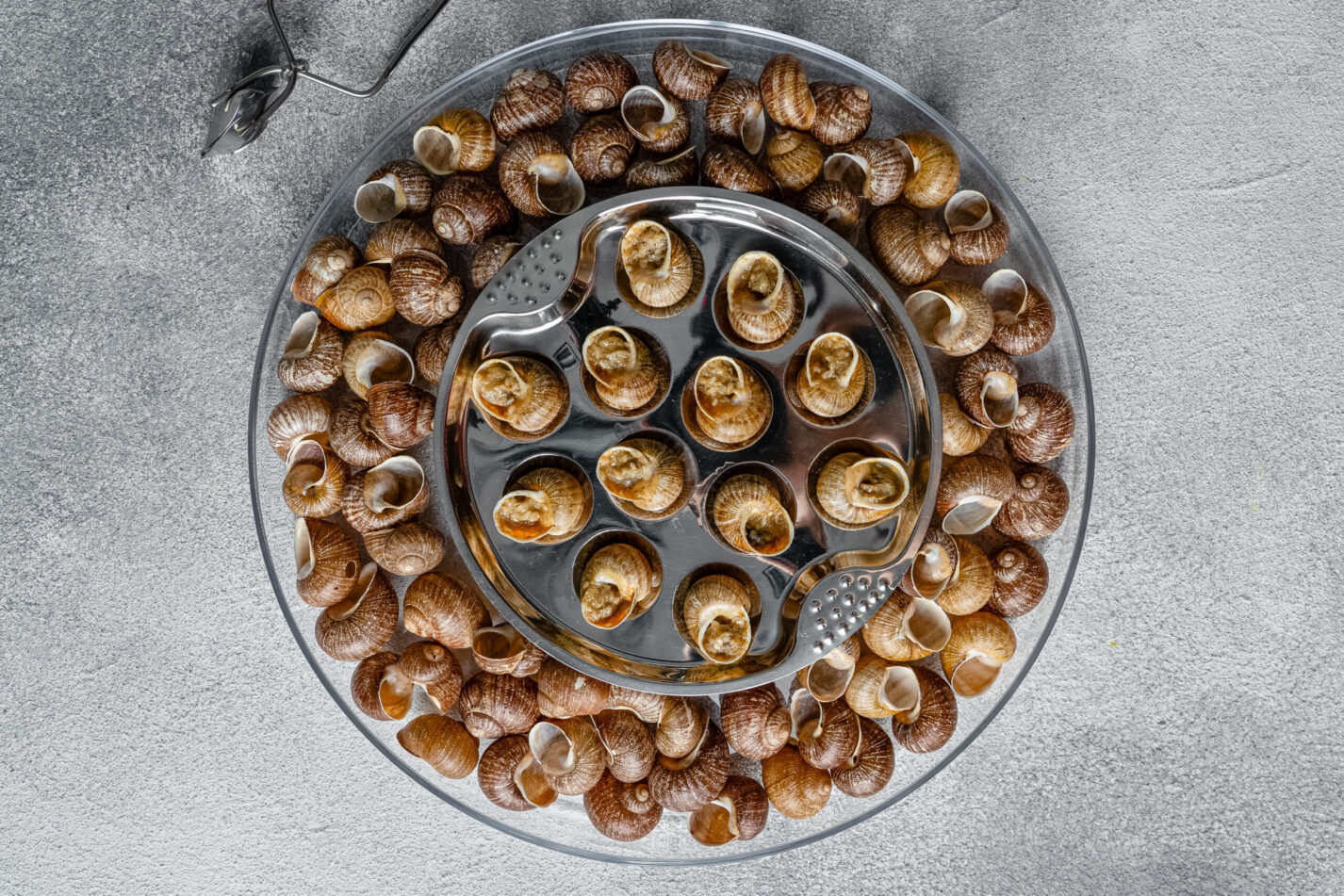 Escargot