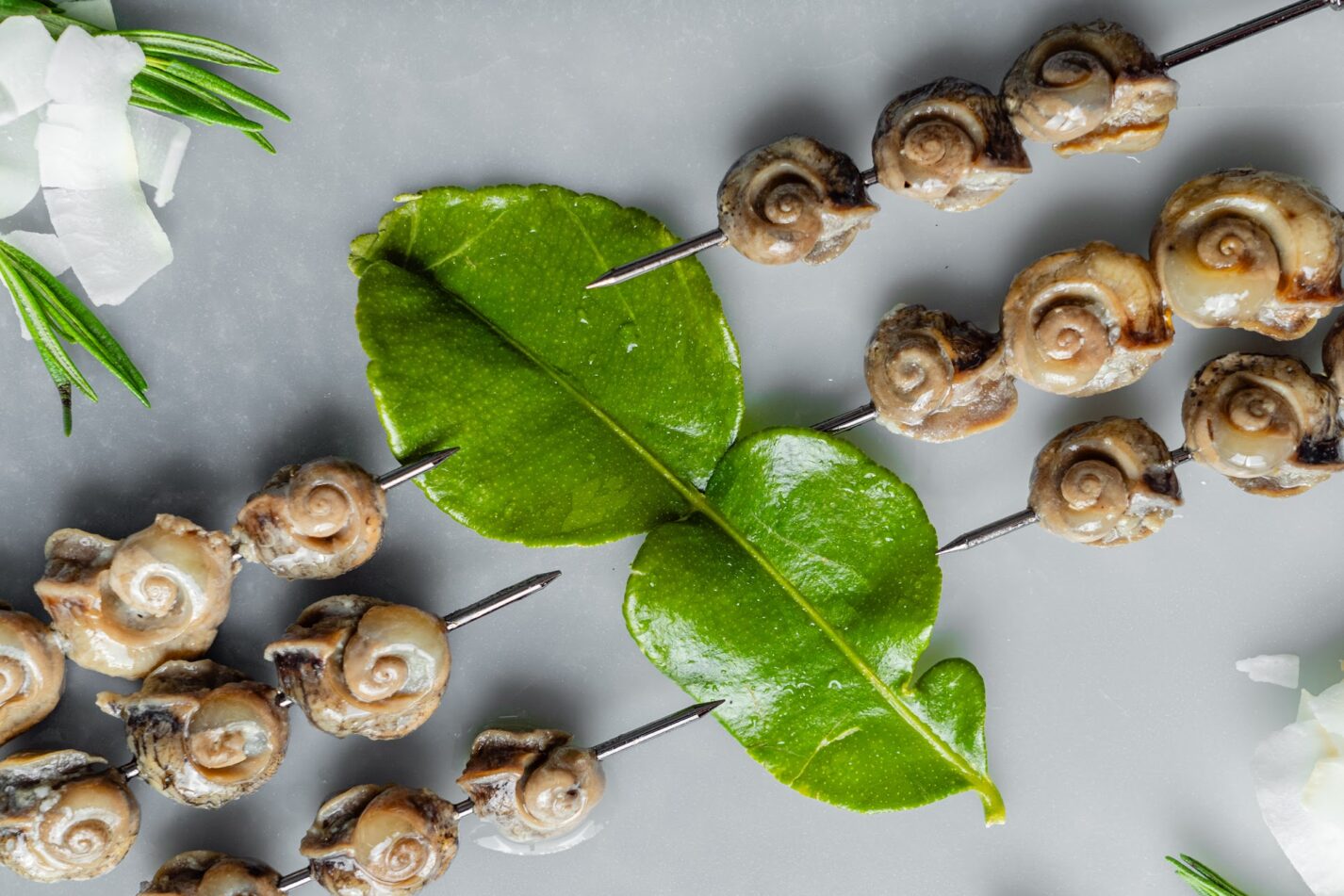 Marinated snail
