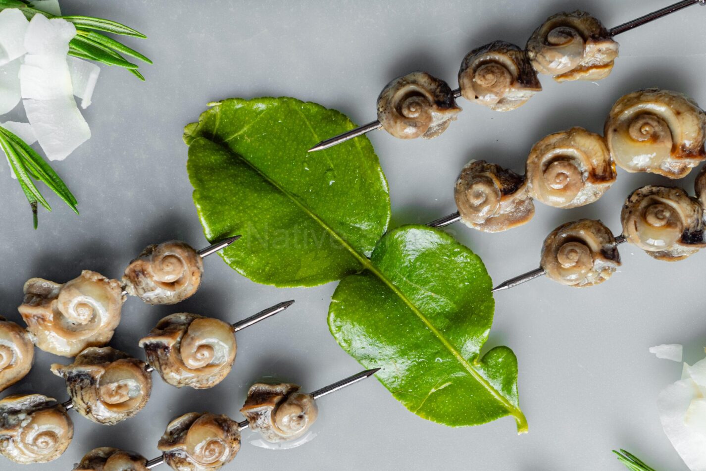 Marinated snail