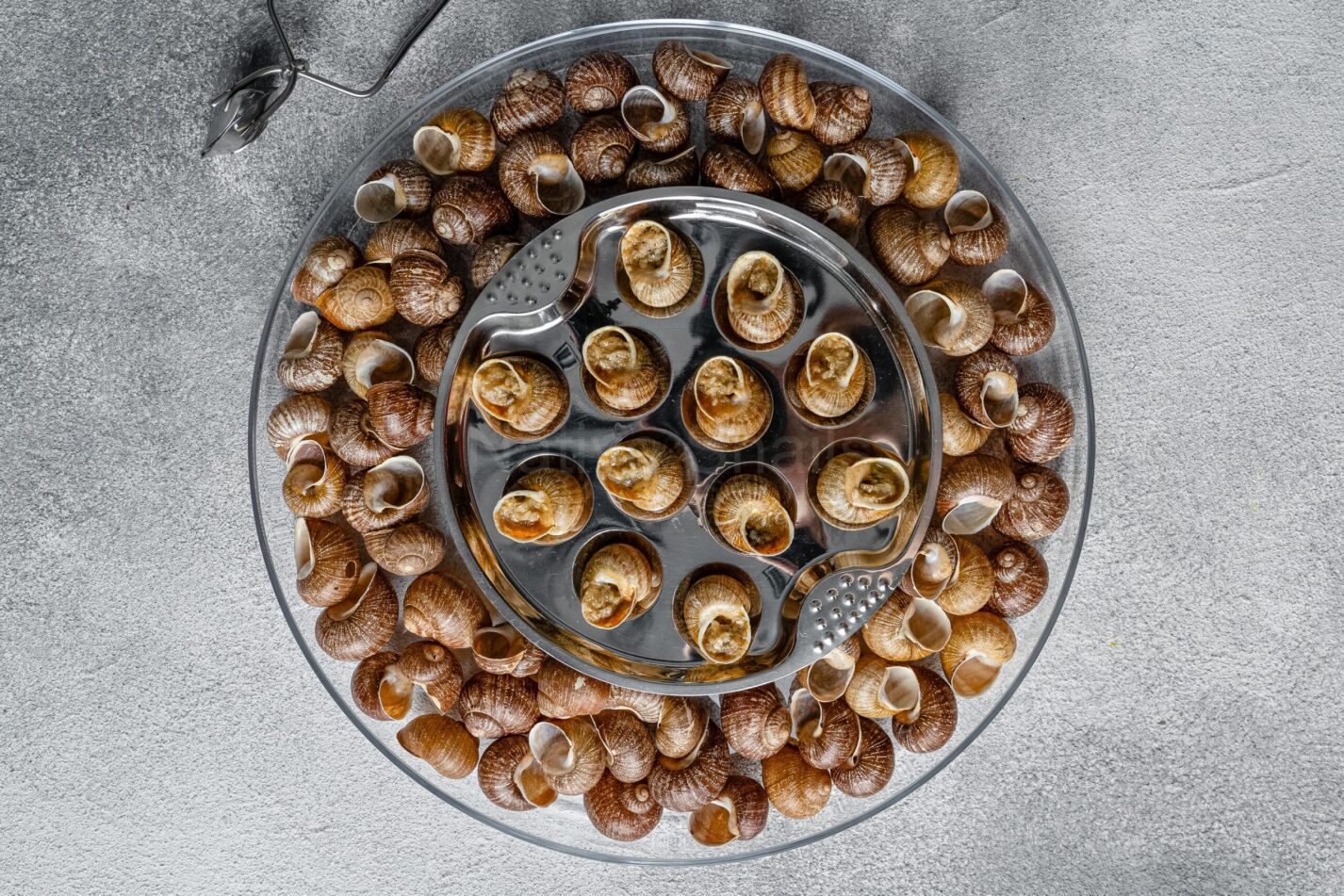 Escargot