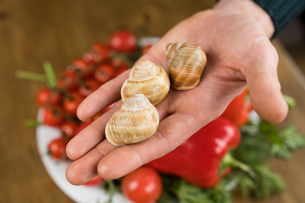 Коментар Native Snails страв з равлика